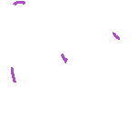 Chargement — MISCEO Café